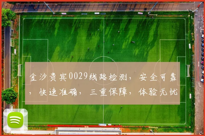 金沙贵宾0029线路检测，安全可靠，快速准确，三重保障，体验无忧，必看攻略