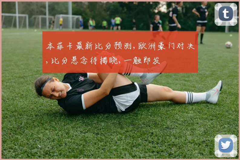 本菲卡最新比分预测,欧洲豪门对决,比分悬念待揭晓,一触即发